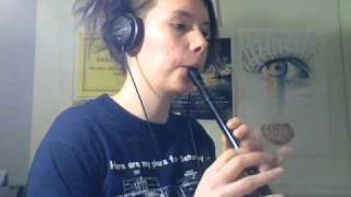 Traditional Irish Tin Whistle Songs [upl. by Subir51]