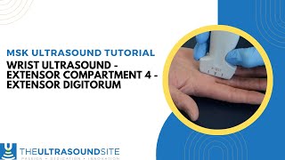 Dorsal wrist ultrasound  Extensor compartment 4  Extensor Digitorum msk [upl. by Eiramnerual]