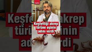 Türkiyede yeni bir akrep türü keşfedildi Doktor yeni türe eşinin adını verdi [upl. by Lohrman964]