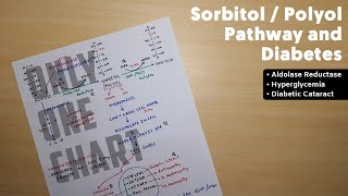 Sorbitol or Polyol Pathway  1  Diabetes  TCML Biochemistry [upl. by Luane792]