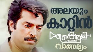 Alayum kaatin Hridayam  Film Valsalyam  kairali chalakudy bandset [upl. by Tezile733]