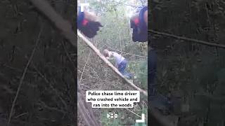 Police chase limo driver who crashed vehicle and ran into the woods [upl. by Zel254]