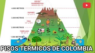 PISOS TÉRMICOS DE COLOMBIA [upl. by Hoi760]