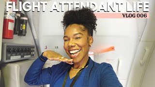 Flight Attendant Vlog 006  Boeing 737 to Houston [upl. by Vachel287]