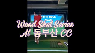 Wood Shot Series At 동부산 CC golfswing golf FriendsScreenQuantum [upl. by Willett]