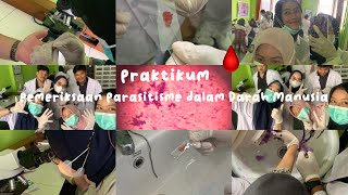 Praktikum Pemeriksaan Parasitisme dalam Darah Manusia🩸🔍🧪🥼 [upl. by Anoyi376]