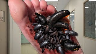 ASMR Dog Ticks and Creepy Crawlies Removal  ASMR Deep Cleaning Animation [upl. by Litton596]