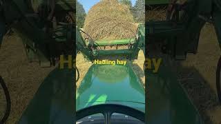 Hauling hay second cutting 2024 [upl. by Bertilla]