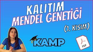 MENDEL GENETİĞİ FULL TEKRAR TYT 2025 [upl. by Ariday]