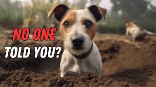 Things NOBODY tells you about owning a Jack Russell Terrier [upl. by Alasdair]