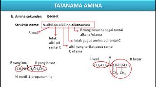 KIMIA KELAS XII MIPA TATANAMA HALOALKANA AMINA DAN MULTI GUGUS FUNGSI [upl. by Vida557]