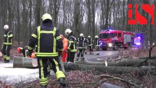 Brandweer maakt weg vrij [upl. by Ybur837]