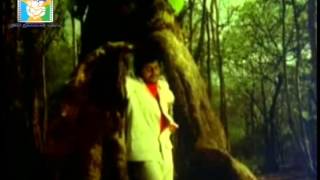 Ille Swarga Ille Naraka video song from Nagara hole kannada movie [upl. by Femmine]