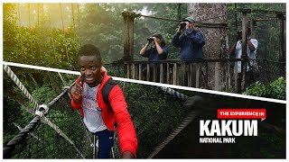 Whats New Kakum National Park [upl. by Kwan]