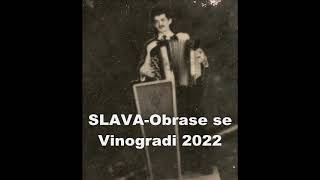 Slava Pavlovic Obrase se Vinogradi 2022 mp3 [upl. by Stubstad]