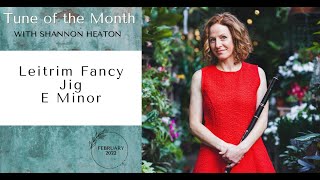 Leitrim Fancy Jig  Tune of the Month with Shannon Heaton [upl. by Ajiam]