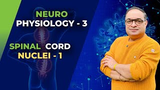 MBBS First Year  Neuro Physiology  Spinal Cord Nuclei  1  Dr Sachin Kapur  AIIMS [upl. by Warrenne]