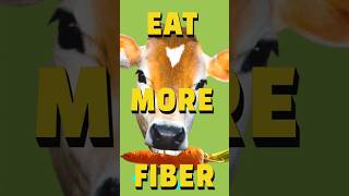 Eat more fiber  Dieting Tips day 10 food dietingmadeeasy weightlosstips [upl. by Ivana]