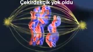 Yalvaç Fen LisesiMayoz Şarkısı [upl. by Amos]