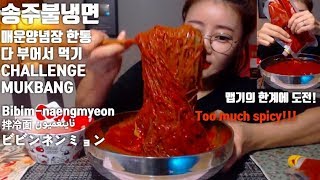 ENG송주불냉면 매운양념장 한통 다 부어먹기 도전 먹방 Challenge mukbang spicy Bibimnaengmyeon 拌冷面 ビビンネンミョン ناينغميون [upl. by Luapleahcim]