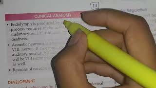 Vestibulocochlear nerve Anatomy [upl. by Gudrin120]