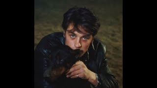 ALAIN DELON kedvenc állatai képekben  Delons pets in pictures [upl. by Inglebert]