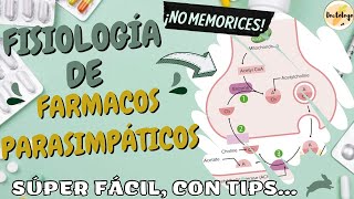 🥕Fisiología de fármacos Parasimpaticomimeticos y parasimpaticoliticos [upl. by Atinreb]