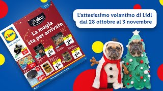 First reaction al nuovo volantino Lidl dal 2810 al 311 top  Lidl Italia [upl. by Amej758]