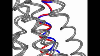 Beta adrenergic receptor  Gs complex [upl. by Poll815]