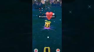 I Got Wild Shiny Sunkern pokemongo pokemon trendingshorts shorts shiny subscribe trending [upl. by Neall]