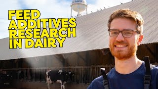 Conor McCabe Methane Mitigation Strategies in Dairy [upl. by Endo243]