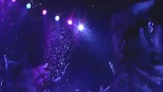 Mushroomhead  Damage Done Live Video [upl. by Ynotna]