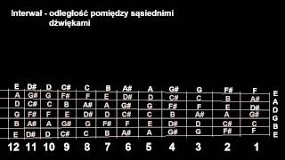 Niezbedna Teoria odc2  Gryf w praktyce [upl. by Affer]