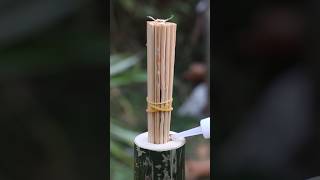 Bamboo Sticks DIY shorts [upl. by Hooge201]