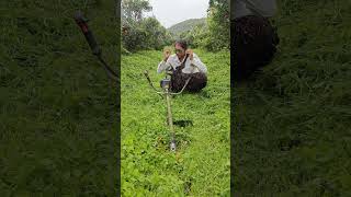 watch steel end Grass cutter शेतीमळा shortvideo youtubeshorts shorts [upl. by Amaleta]