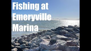 Fishing at Emeryville Marina [upl. by Close]