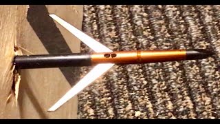 Dead Ringer Trauma Broadhead Test [upl. by Healion]