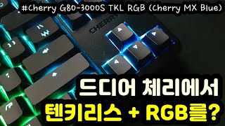 【키보드 리뷰 자막有】 체리 G803000S TKL RGBㅣ체리에서 텐키리스RGB키보드를ㅣ무보강 기계식 키보드ㅣ체리 MX 청축삼신청ㅣ피씨디렉트 [upl. by Ainod]