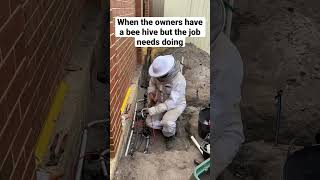 How to wire up reticulation solenoids and not get stung by bees reticulation perth homerenovation [upl. by Pooi]