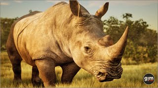 Rhinoceros animation preview [upl. by Nylekcaj]