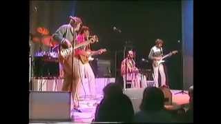 The Spotnicks 1983  Hit Medley [upl. by Aguie]