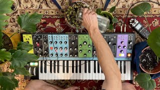 Moog Matriarch Challenge Day 26 Ambient for watering the flowers [upl. by Launce]