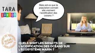 Quels sont les impacts de lacidification des océans sur lécosystème marin [upl. by Mame]