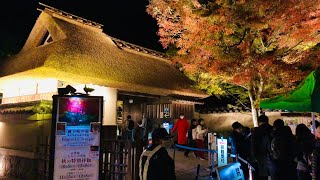 2024年11月23日土 夜の京都嵐山🌉Kyoto Arashiyama in the evening [upl. by Tewell13]