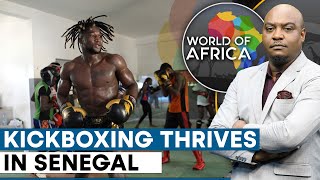 Senegalese Develop New Love for Kickboxing  World Of Africa  WION [upl. by Natanoy]