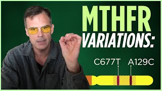 Two Main MTHFR Variants Explained MTHFR C677T and MTHFR A1298C [upl. by Scurlock]