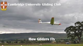 How Gliders Fly [upl. by Parshall23]