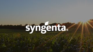 SYNGENTA  LANZAMIENTO REGLONE [upl. by Philander]