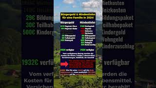 Bürgergeld vs Mindestlohn für Familien in 2024 [upl. by Seraphina915]