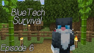 Minecraft  20x20 Oak Tree Farm  BlueTech Survival Episode 6 [upl. by Absa872]